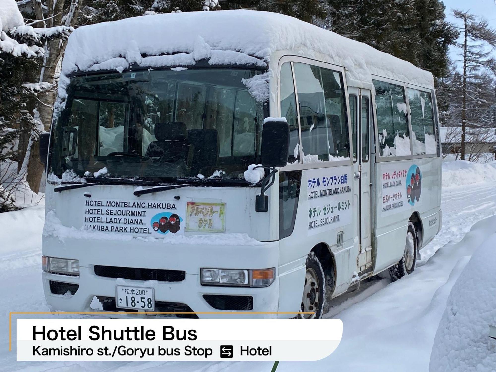 Hakuba Park Hotel Ngoại thất bức ảnh